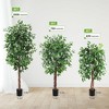 Whizmax Artificial Ficus, Fake Ficus Silk Tree with Natural Wood Trunk in Plastic Nursery Pot for Indoor Outdoor House Living Room Office - 3 of 4