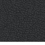 illinois fighting illini