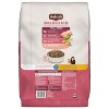 Nutrish Small Breed Real Chicken & Vegetable Flavor Recipe Whole Health Blend Dry Dog Food - 2 of 4