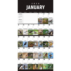 TF Publishing 13.5"x14.5" 2026 Birds Backyard and Beyond Wall Calendar - 1 of 4