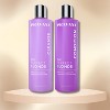Pravana Perfect Blonde Toning Shampoo & Conditioner (33 oz) - For Unwanted Brassy Tones in Blonde, Silver, and Highlighted hair - DUO SET KIT - 2 of 2
