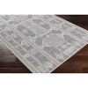 Hauteloom Malamig Gray Area Rug - 3 of 4