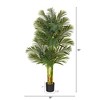 Nearly Natural 6-ft Golden Cane Artificial Palm Tree - 2 of 3