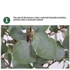 Artificial Eucalyptus Tree, Fake Silver Dollar Leaves Eucalyptus Plants Faux Eucalyptus Tree with Pot Realistic Autumn Leaves Home Office Decoration - 4 of 4