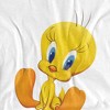 Boys' Short Sleeve Looney Tunes Cute Tweety T-Shirt Boys and Girls - 3 of 4