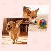 Unique Bargains Snuffle Ball for Dogs Designed for Small Breeds and Puppies Interactive Dog Toys Keeps Pets Busy Colorful Small - 2 of 4