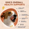 ZEBORA Dog Probiotics with Pumpkin & Digestive Enzymes Supports gut health, relieves occasional diarrhea & skin issues 120 pumpkin-flavored soft chews - 3 of 4