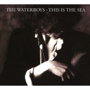 The Waterboys - This Is The Sea: Collectors Edition (CD) - 1 of 1