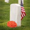 Floral Home 8" Pick Orange Rose - 50-Piece - 4 of 4