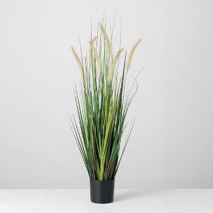 Sullivans Artificial Potted Dogtail Grass - 1 of 4