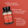 Dr. Mercola Liposomal Glutathione, 30 Servings (60 Capsules), 350 mg Per Serving, Dietary Supplement, Supports Energy Production, Non-GMO - 4 of 4
