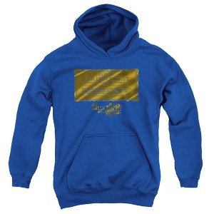 Boys’ Willy Wonka And The Chocolate Factory Golden Ticket Hooded Sweatshirt - 1 of 4