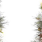 2pc transparent light base
