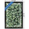 Trends International Cactus - Group Framed Wall Poster Prints - 3 of 4