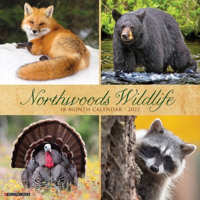 2022 Wall Calendar Northwoods Wildlife - Willow Creek Press