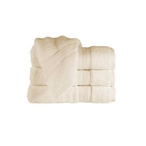 4pc Odor Resistant Bath Towel - Bennett & Shea Home - 1 of 4