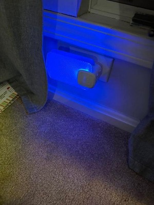 Guest review image 1 of 1, zoom in