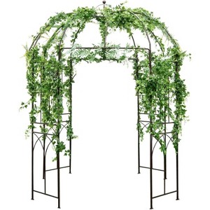 Gymax Birdcage-Style Garden Arbor Pergola Plant Support Frame for ...