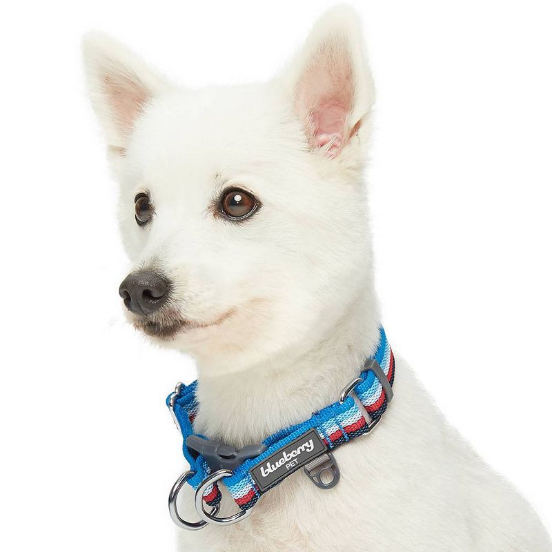 Blueberry Pet Stripe Adjustable Dog Collar, 4 of 6