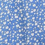 blue flowers