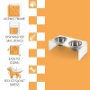 THE LICKER STORE Keaton Modern Acrylic Rectangular Elevated Pet Feeder - 3 of 4