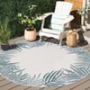 Beach House BHS262 UV & Stain Resistant Non-Shedding Power Loomed Indoor/Outdoor Rugs - Safavieh - 2 of 4
