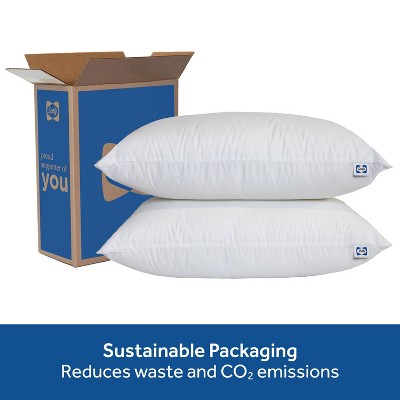 Sealy Hypoallergenic Soft Cotton Universal Sleeper Pillow Set