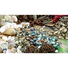 READY 2 LEARN™ Naturals - Exploration - Over 300 Real, Natural Materials - 3 of 3
