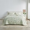 Reversible Floral Quilted Coverlet Set with Shams - 2 of 4