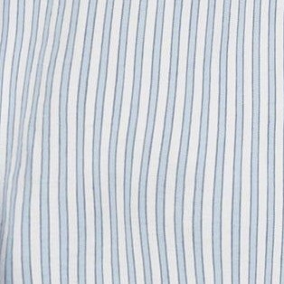 blue ticking stripe