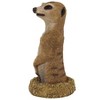 Design Toscano Hole in One African Meerkat Garden Statue: Each - 4 of 4