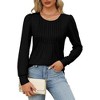 Long Sleeve Shirts For Women Fall Fashion 2025 Womens Tunic Tops Pleated Crew Neck Puff Sleeve Blouses Dressy Casual - 3 of 4