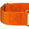 Country Brook Petz 1 1/2 Inch Martingale Heavyduty Nylon Dog Collar - 4 of 4