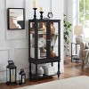 Wooakway 48"H Walnut Lighted Curio Cabinet with Mirror Back Adjustable Shelves Glass Doors Open Storage - 2 of 4