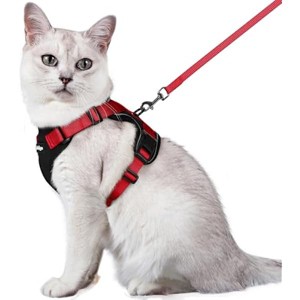 rabbitgoo Cat Harness and Leash for Walking, , Easy Control Breathable Reflective Strips Jacket, Black & Red, M - 1 of 1