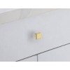 Elegant Lighting Wilow 1Inch Brushed Gold Square Knob Multipack (Set of 10) - 3 of 4
