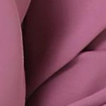 plum purple