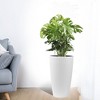 NAYSAYE Planter Set of 2 Faux Rattan Tall Planter with Water Level Monitor for Indoor Outdoor Garden, White, 12.8"*12.8"*22.17" - 2 of 4