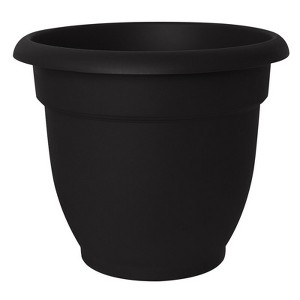 Bloem Ariana 10.2 in. H X 12 in. D Resin Elegant Planter Black - 1 of 1