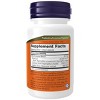 Dairy Digest Complete - Lactose Intolerance by Now Foods  -  90 VegCap - 2 of 2