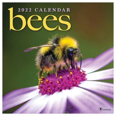 2022 Wall Calendar Bees - The Time Factory