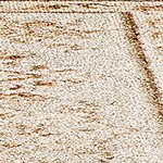 wood color