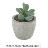 Unique Bargains Artificial Plants Flocked Cactus Fruit in Mini Pulp Plastic Green 2.56"x2.56"x3.74" 1 Pcs - 3 of 4