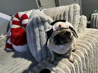 Guest review image 1 of 1, zoom in