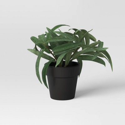 Artificial Small Eucalyptus Plant in Ceramic Pot - Threshold™