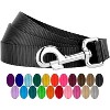 Country Brook Petz 1 Inch Nylon Dog Leash - 2 of 4