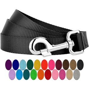 Country Brook Petz 1 Inch Everyday Nylon Dog Leash - 25+ Colors - 1 of 4