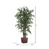 Vickerman Artificial Ming Aralia Extra Full Series - 3 of 4