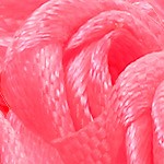 rose red