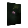 Trademark Fine Art - NingYun Ye  lotus Canvas Art - 4 of 4